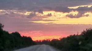 Мне нужна такая грядка 😍 Влог  22-25.06.26