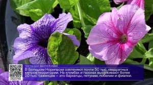 ДАЙДЖЕСТ «СЕВЕРНОГО ГОРОДА», 26.06.2026