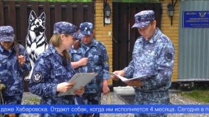 Обучить щенков базовым командам, чтобы в будущем они стали верными напарниками стражей порядка