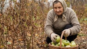 ФИТОФТОРА НЕ ПРОЙДЁТ! Сделайте это с томатами сейчас и спасите весь урожай 🔥
