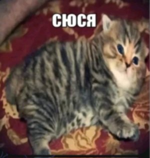 спасибо большое