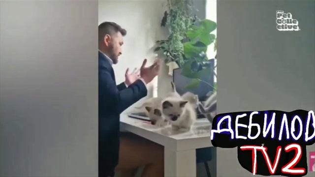 ДЕБИЛОВ ТВ 2 (16)