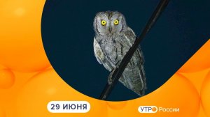 Утро России. Калуга (29.06.2026)