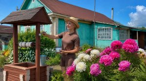 ДВА УЧАСТКА ПРЕВРАЩАЕМ В ОДНУ УСАДЬБУ/РАБОТА СПЛОЧЕННОЙ СЕМЬИ ДАЕТ ЖИЗНЬ СТАРОМУ ДОМУ