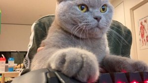 playgame chill+film