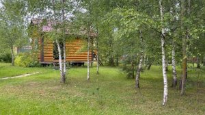 Нас с Гасом пометили. Успела покосить до дождя