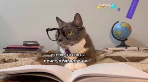 34-минутный эфир канала «Карусель X Senya2010» с 26.06.26. (показ видео смотри в описании)