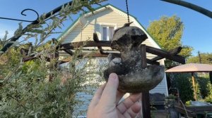 На красивом участке. Сразу понимаешь какой огромный труд стоит за этой красотой.