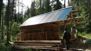 Ставим избу в Тайге. Природа преподносит сюрпризы.