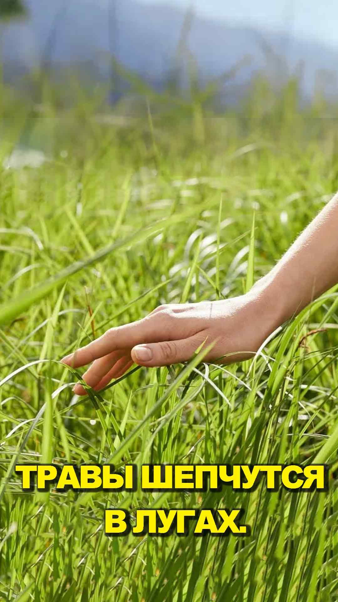 Травы шепчутся в лугах.