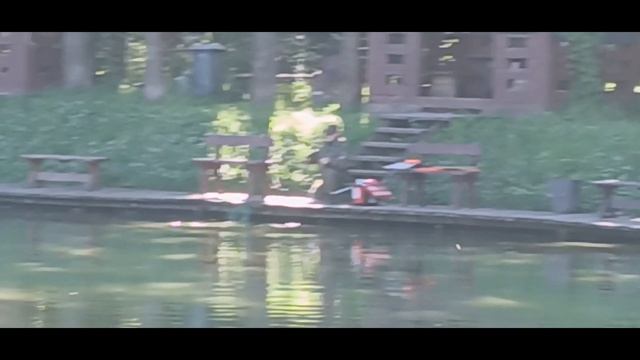 1000054585.mp4 смотреть онлайн