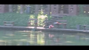 1000054585.mp4