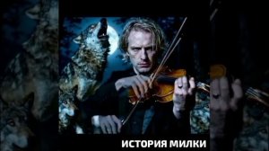 🖊️📗🖍️История очень больной собаки 🐶  Милки . Сейчас ей очень  нужна помощь.