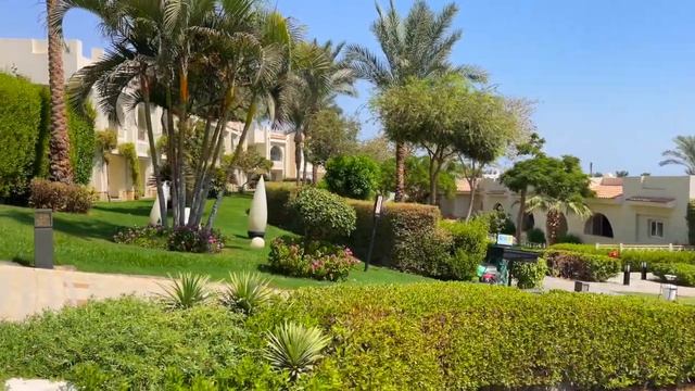 Sunrise Montemare Resort Grand Select 5* | Египет, Шарм 2025 смотреть онлайн