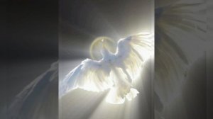26.06.26.Молитва благословения💜 💞🦁✝️🩸🌿📯 ✨️🌴🦅👑🍇🛐 ❤️🔥🌍💐🔥🪽