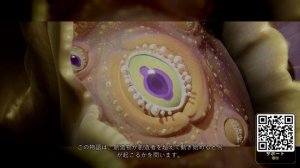 特異点 | 日本語ナレーションと字幕 | SFアニメーション短編映画