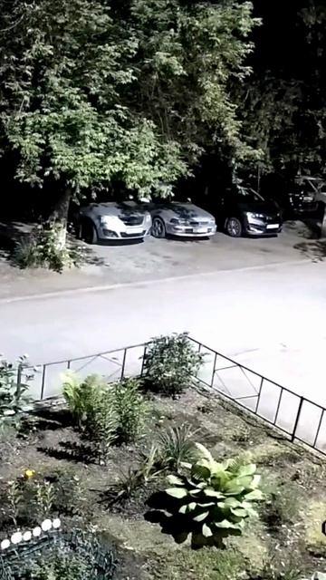 Подростки вырывают цветы на улице Лукашевича в Омске