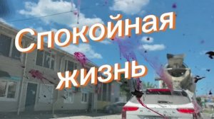 Утренний коктейль  и машина с вишней. Новые шторы.