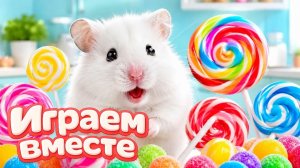 ХОМЯК ВЫБИРАЕТСЯ ИЗ СЕКРЕТНОЙ ХОМЯЧЕЙ ТЮРЬМЫ ! Забавные животные ! Супер лабиринт для хомяка №33