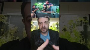 Безрамочные аквариумы- в чем их секрет?