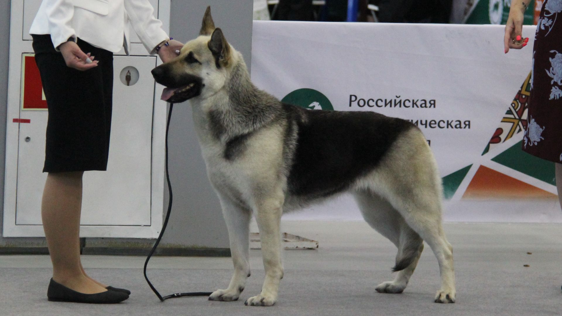 Эст Бриз Ниагара