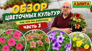 ОБЗОР ЦВЕТОВ: часть 3