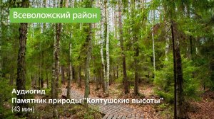 Аудиогид  Памятник природы Колтушские высоты