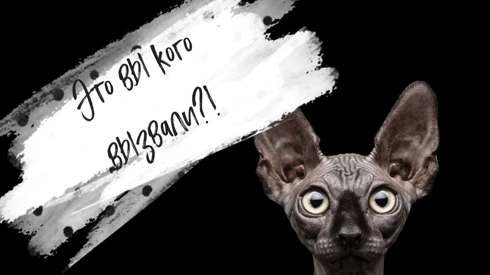 Это вы кого вызвали?! Вы чё, угараете?! (YouTube-26) Кот Костян смотреть онлайн