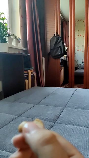 я перепутал это миндаль смотреть онлайн