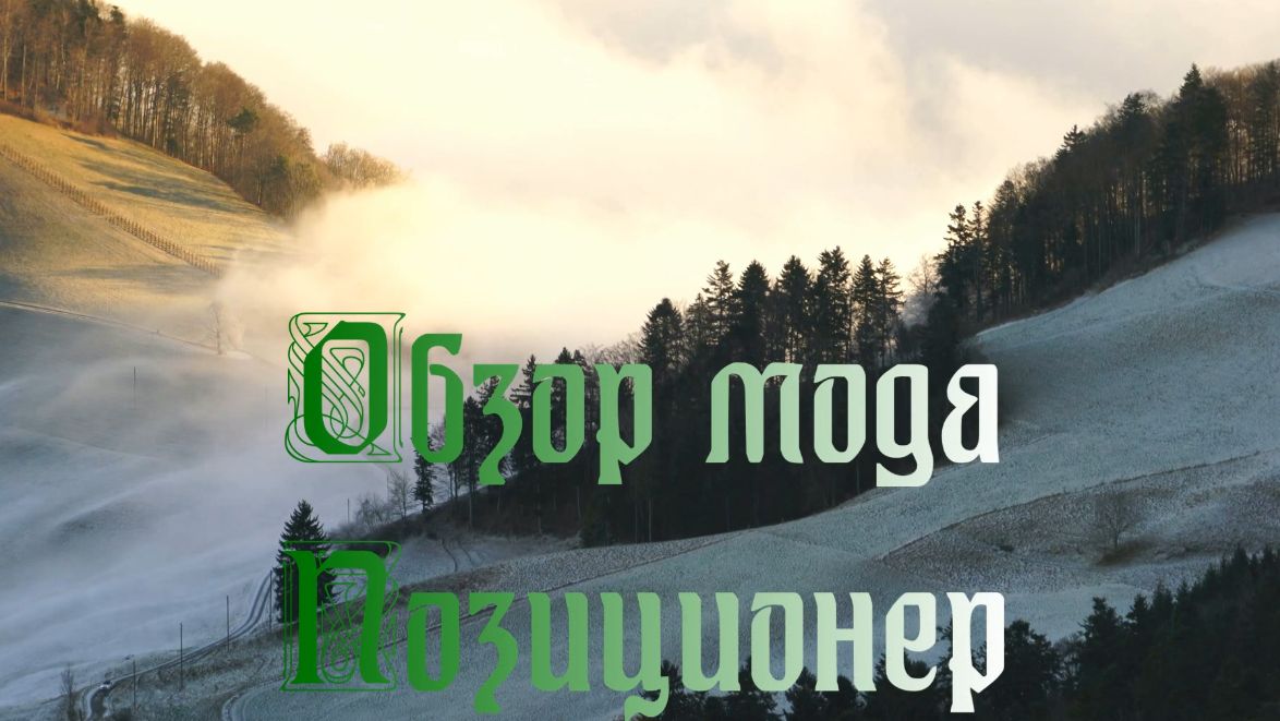 Обзор мода - Позиционер