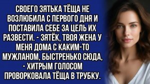 Жизненные Истории|У тёщи был хитрый план как развести дочь|Истории из жизни|Реальные истории