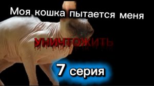 Моя кошка пытается меня уничтожить 7 серия