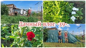 ЗАКРЫЛИСЬ от соседей🔥МЫ НА ДАЧЕ / Наводим порядок. Дачный влог