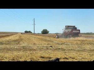 23-06-2026 г. В районе стартовала уборочная компания
