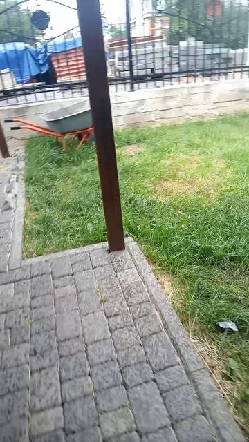 Жуткий ливень бушует, и сёмочка куда-то ушёл...