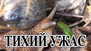 Фильм ужасов