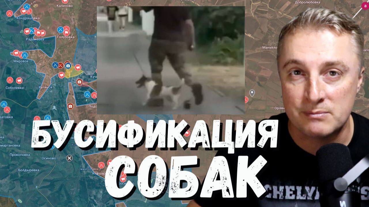 Украинский фронт - бусификация собак Мясо-полк Скала. Сказки Венского леса от ВСУ. 26.06.26 смотреть онлайн