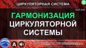 🌀 Согласование Всех Звеньев Кровеносной и Лимфатической Систем 💧⚖️ Баланс Внутренней Среды