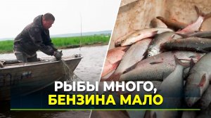 С какими вызовами сталкиваются рыбаки Ямала
