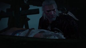 The Witcher 3 #илюзияцири