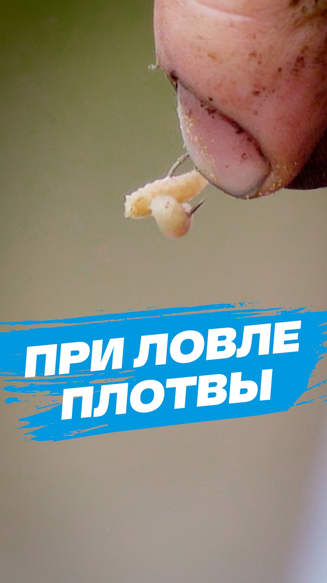 На плотву срабатывает всегда! Если не сработало, повторите