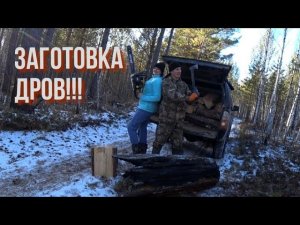 ВЫПИЛИВАЕМ ТАЙГУ!!! С ЖЕНОЙ ЗАГОТОВКА ДРОВ, СБОР ВАЛЁЖНИКА!!!