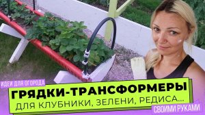 2 в 1! Высокие грядки и парник для клубники своими руками!
