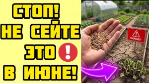 ОСТАНОВИТЕСЬ ПРЯМО СЕЙЧАС! Эти посевы в июне только отнимут ваше время