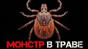 Клещ - один укус может изменить все!