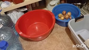 Сбор урожая🍒🍓Тестомес в работе.Вареники с 🍒Тесто на молоке😋👩🍳👍