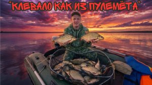 Клев без остановки. Секретный метод ловли Леща. Рыбалка на леща. Прикормка на леща. Река Онега.
