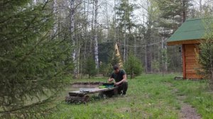 ВОТ ЧТО СЛУЧИЛОСЬ С ПРУДОМ В ЛЕСУ ЗА ДЕВЯТЬ МЕСЯЦЕВ! СВОЙ ВОДОЕМ С РАКАМИ и РЫБОЙ | ТАЕЖНЫЙ ДВОР