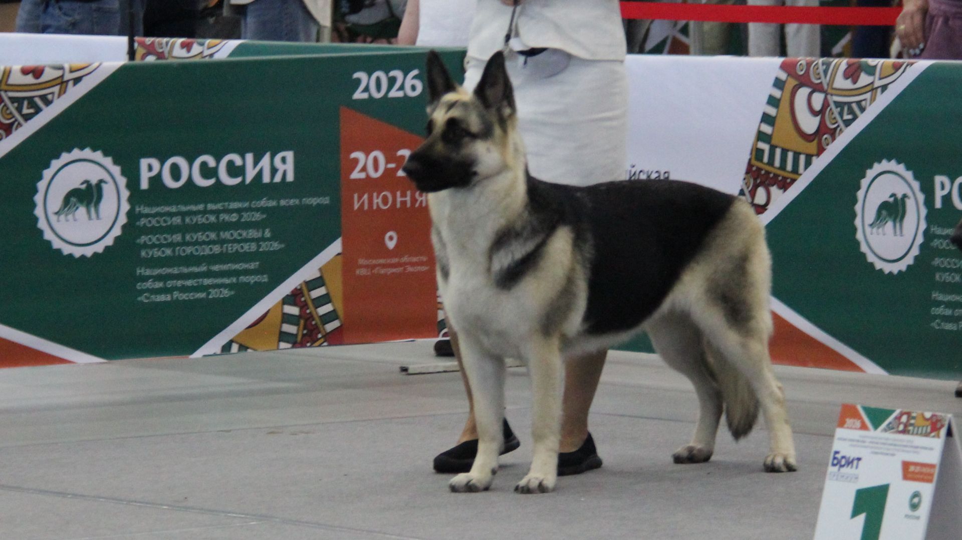 Омская Дружина Кара Миа Шайло