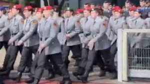 🤣🔥Когда слышишь фразу «собака сутулая» тут можно представить себе современный германский Бундерсве